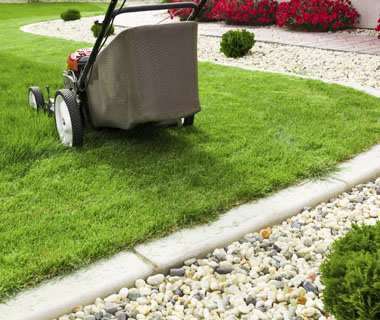 Landscaping Services in Chennai