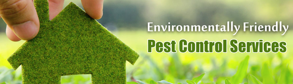 Vipras Pest Control Services in St.Thomas Mount