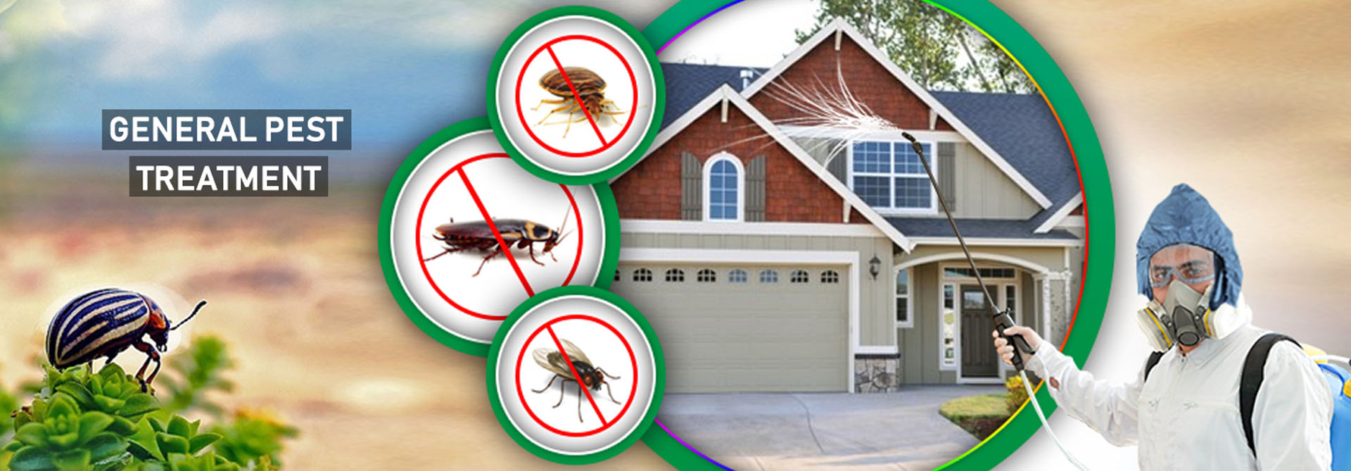 Vipras Pest Control Services in Chennai